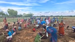 Plantation community in Tamil Nadu.