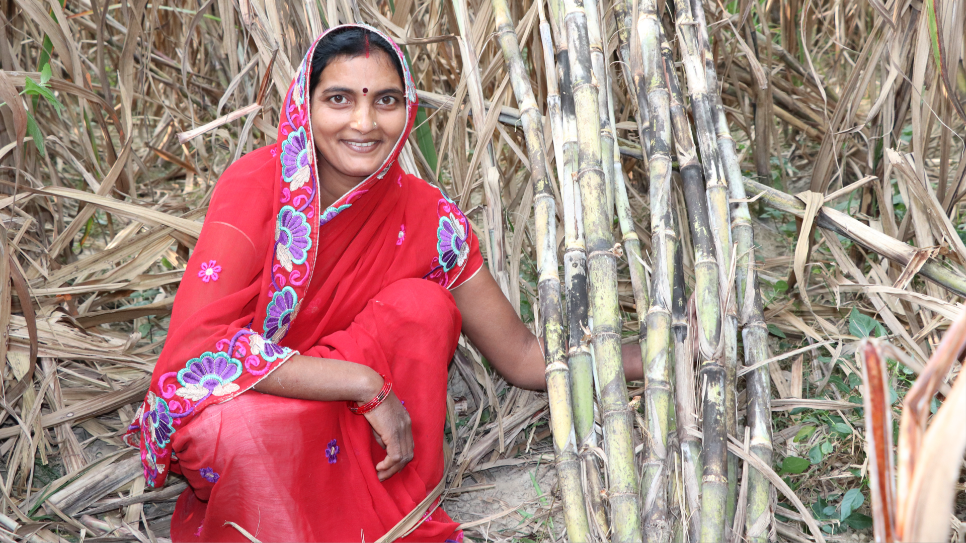 Woman kneeling in front of canes