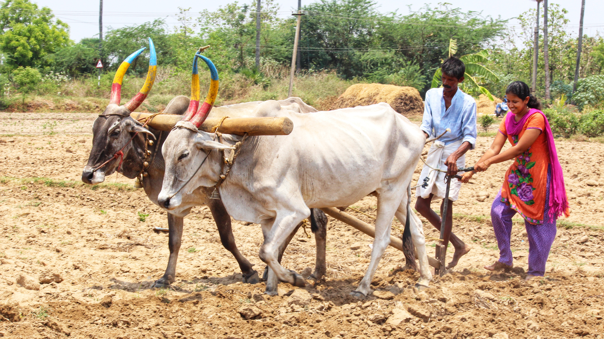 People ploughing