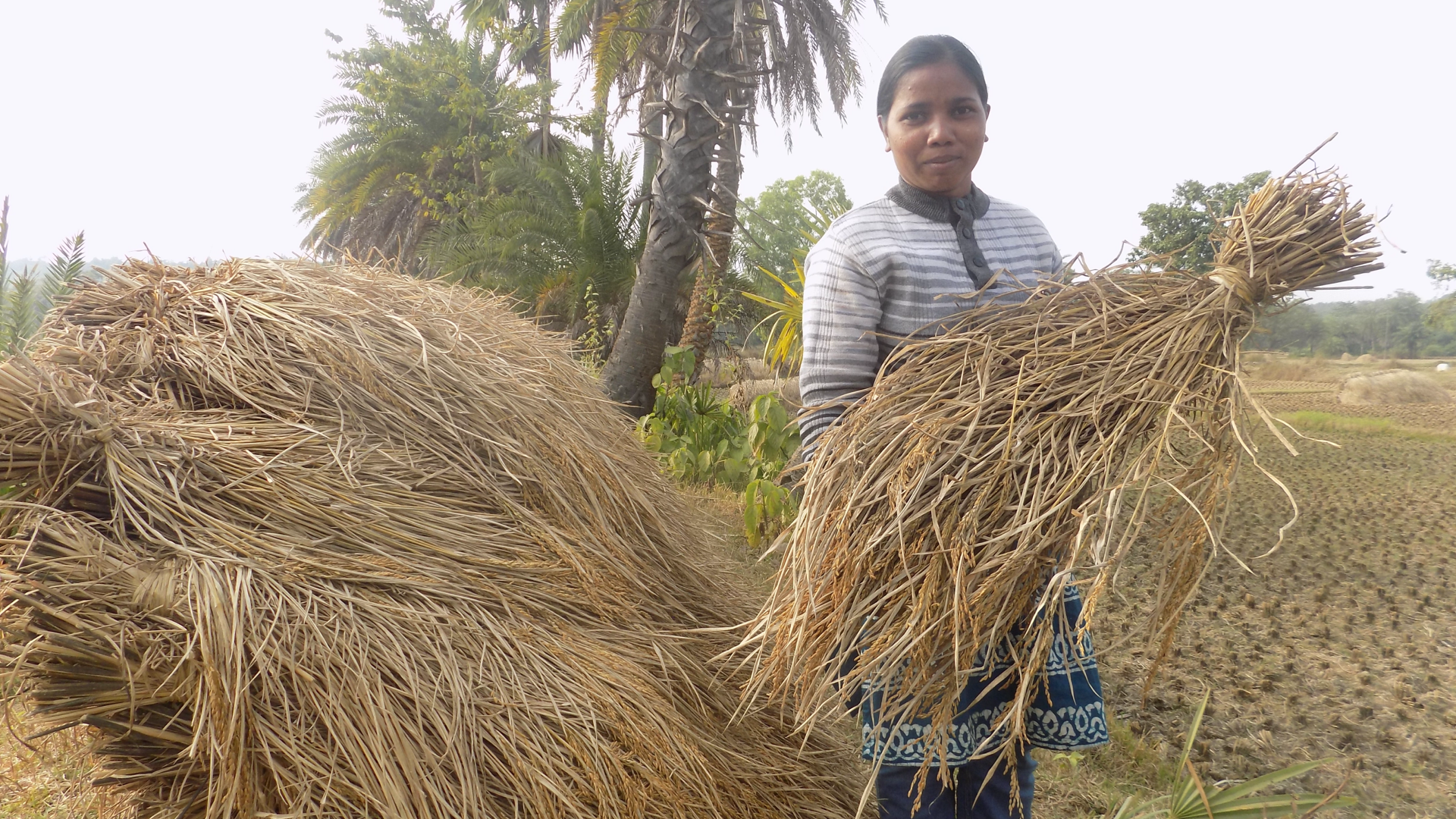 Woman holing straw bale