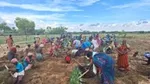 Plantation community in Tamil Nadu.