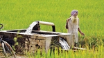 Water being pumped from field